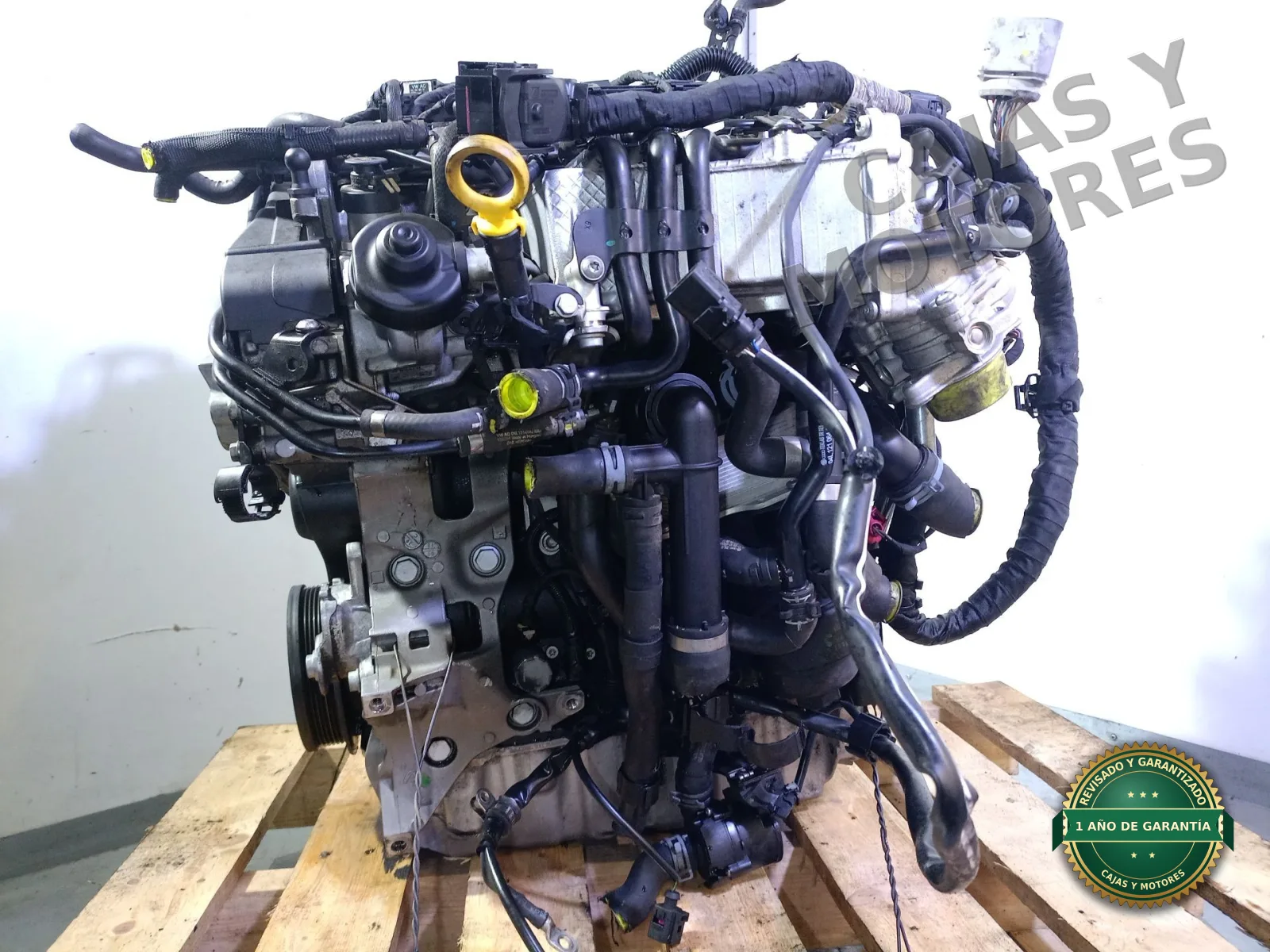 Motor Completo AUDI Q3 (F3B) DFGA - Imagen 2