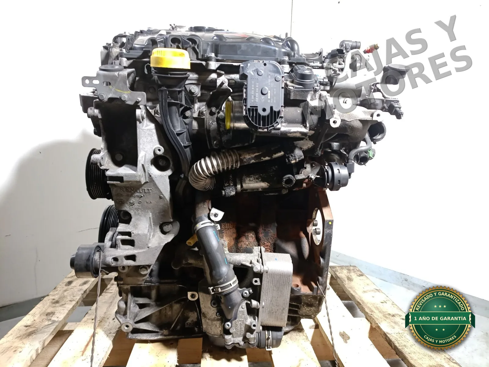 Motor Completo RENAULT MEGANE II Coupé-Cabriolet (EM0/1_) M9RA700 - Imagen 2