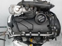 Motor Completo Seat Leon (1P1) Diésel 90 CV BXF